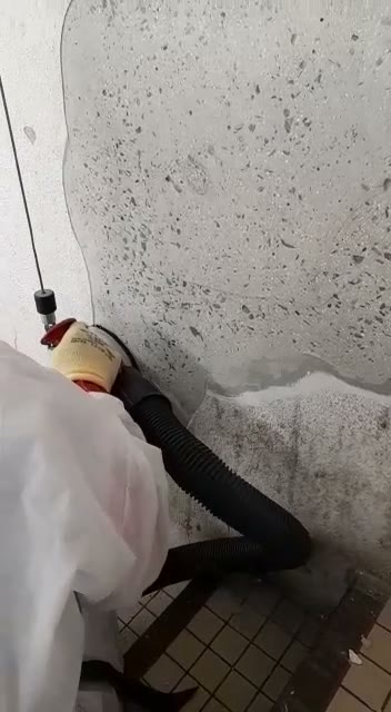 Petit Potam wall decontamination